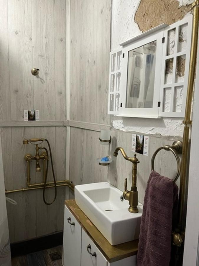 Vila Milica & Spa Aleksandra Dimitrovgrad Dış mekan fotoğraf