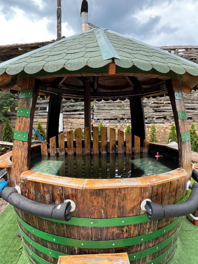 Vila Milica & Spa Aleksandra Dimitrovgrad Dış mekan fotoğraf